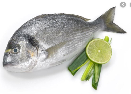 Picture of FISH BREAM / KG